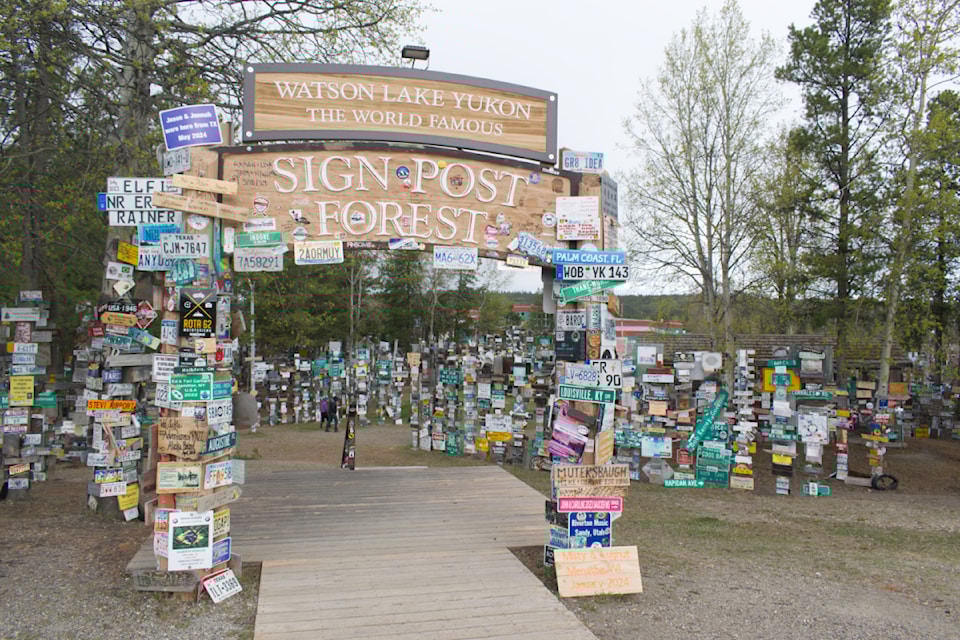 sign-post-forest-watson-lake-240520