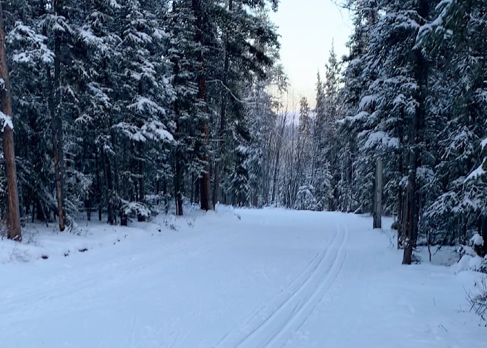 241122-ykn-ski-trail