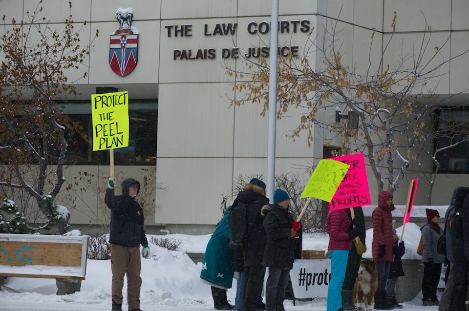 241129-ykn-michellecreek-protest