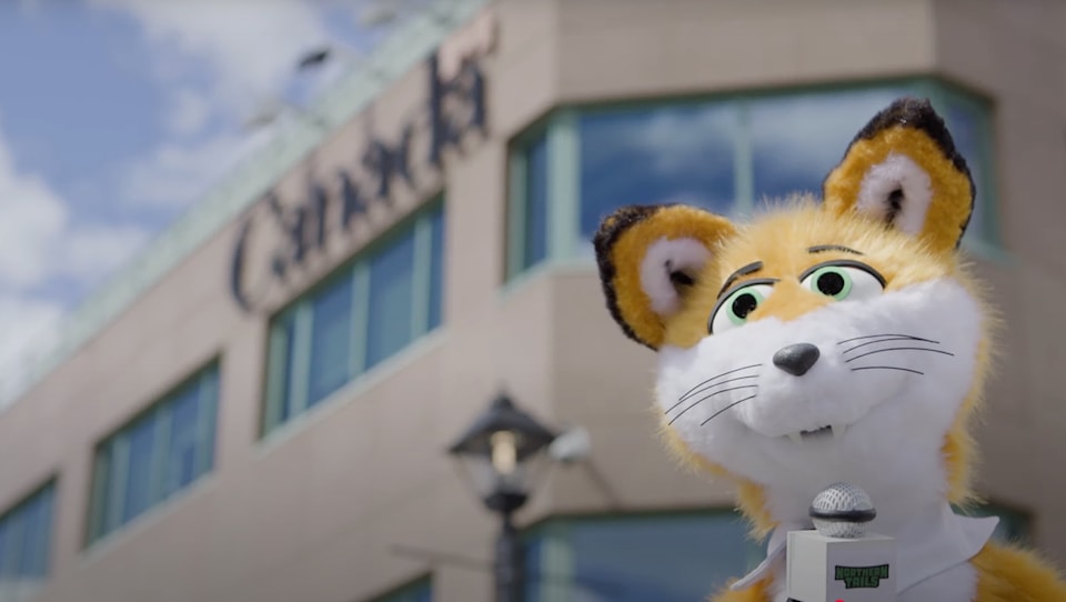 michael-jay-fox