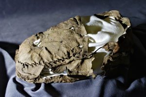 Yukon ice patch turns up a moccasin that's travelled 1,400 years - Yukon  News