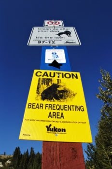 bear-sign