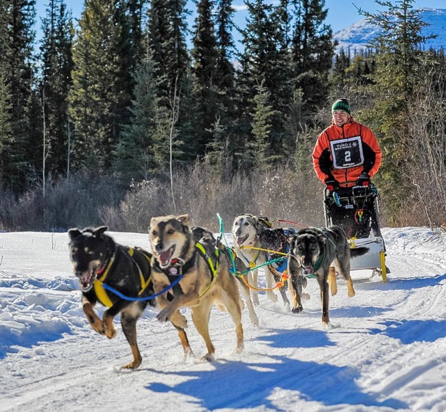 dogsled1