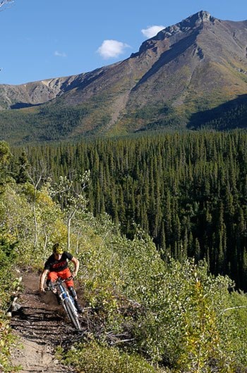 mountainbike