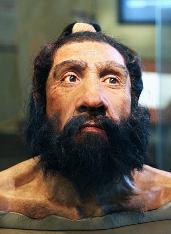 p17bizneanderthals
