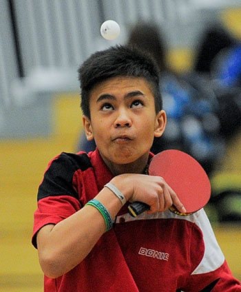 p28tabletennis