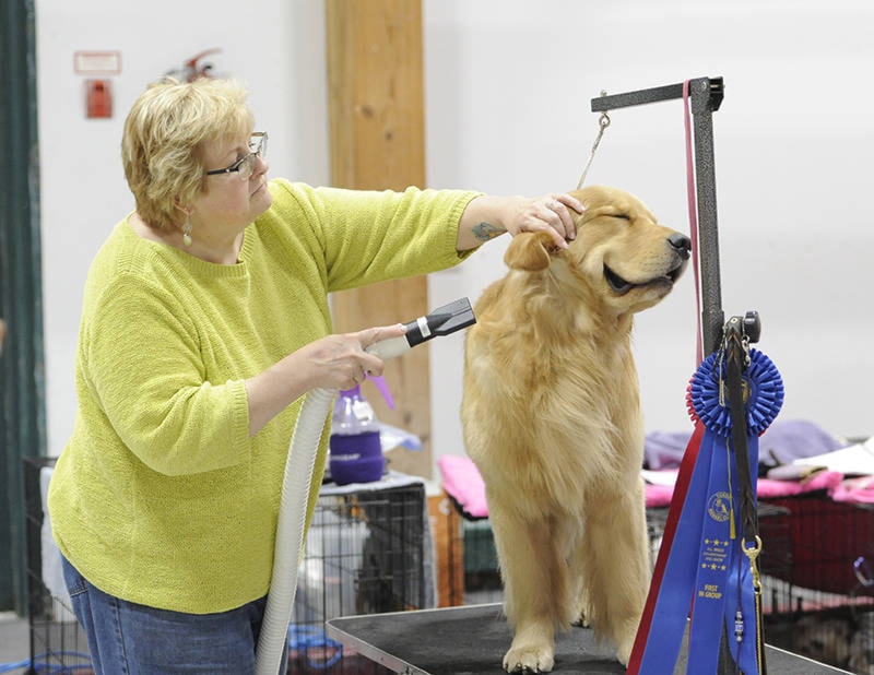 web1_dogshow_thumbnail