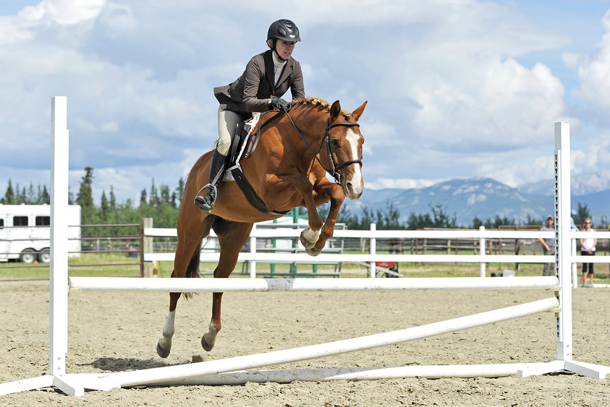 7880469_web1_170728_YKN_sp_horseshow2_web