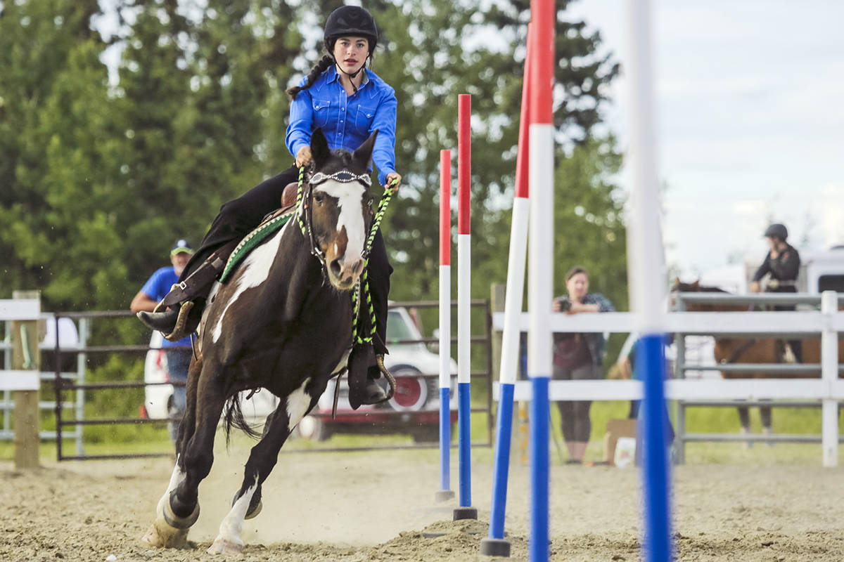 7880469_web1_170728_YKN_sp_horseshow_web