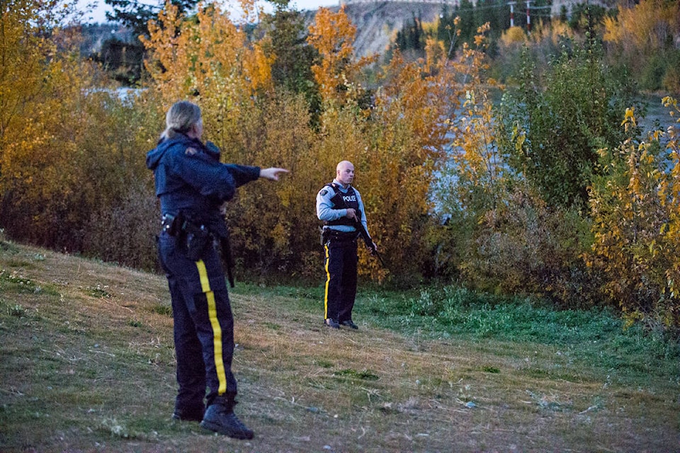 8714450_web1_Bear_Deaths_WEB