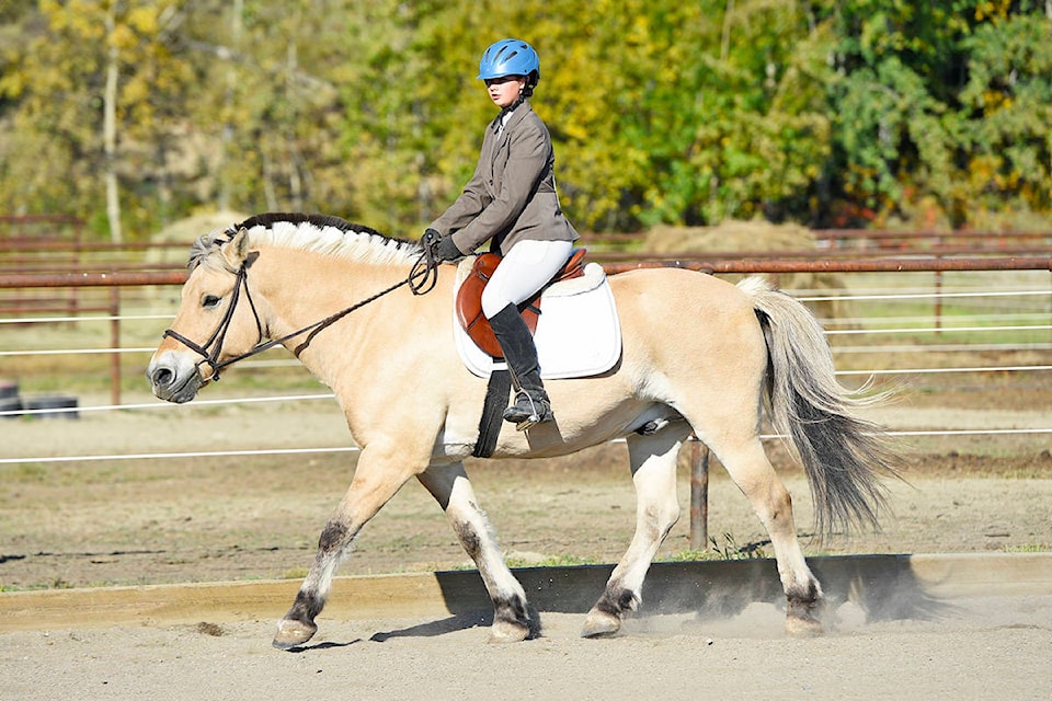 18385535_web1_190901_YKN_sports_DressageShow_031_WEB