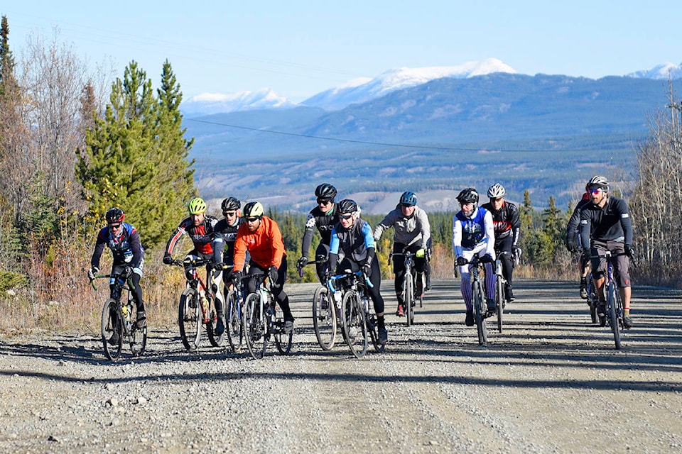 A large group of cyclists ride together near the start of the Gravel Growler hosted by VeloNorth on Sept. 28 in Whitehorse. (John Hopkins-Hill/Yukon News)