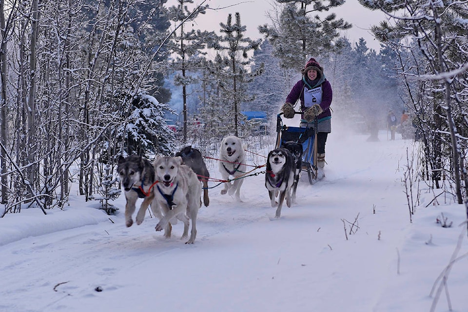 Lindsay Caskenette and her team head out from the start during the preliminary race at the Ibex Valley tracks hosted by the Yukon Dog Mushers Association on Jan. 4. Caskenette finished fifth in the six-dog eight-mile category. (John Hopkins-Hill/Yukon News)