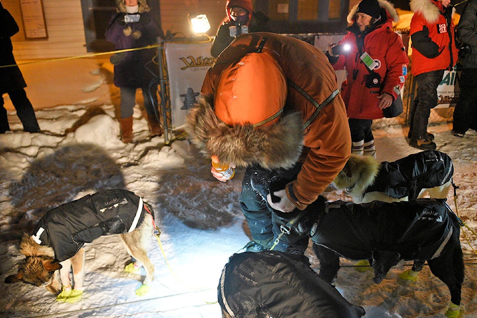 Brent Sass shares a moment with some of his dogs after reaching the Dawson City checkpoint on Feb. 6 during the 2020 Yukon Quest. Sass was the first musher to Dawson, arriving at 5:43 a.m. (John Hopkins-Hill/Yukon News)