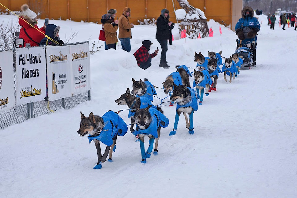 Cody Strathe and his team arrive at the Dawson City checkpoint during the 2020 Yukon Quest on Feb. 6. Strathe was the third musher to arrive, checking in at 12:18 p.m. (John Hopkins-Hill/Yukon News)
