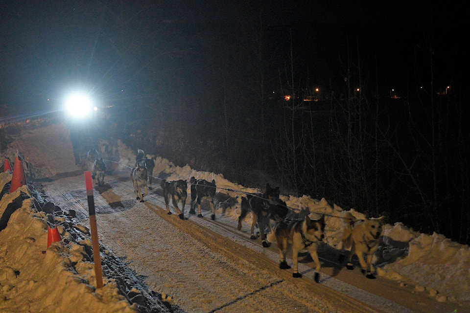Michelle Phillips and her team arrive at the Carmacks checkpoint on Feb. 9 during the 2020 Yukon Quest. (John Hopkins-Hill/Yukon News)