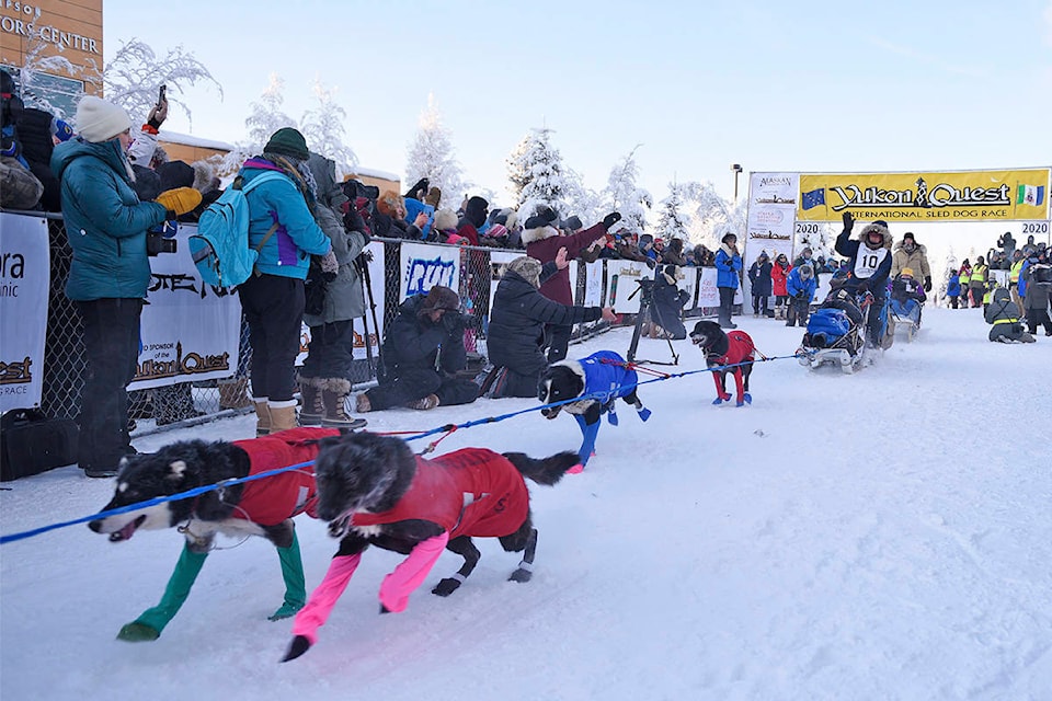Dave Dalton waves to the crowd as he starts his 30th Yukon Quest at the Morris Thompson Cultural and Visitors Center in Fairbanks, Alaska, on Feb. 1. Dalton and his team scratched in Dawson City on Feb. 9 after multiple dogs caught a stomach virus. (John Hopkins-Hill/Yukon News file )