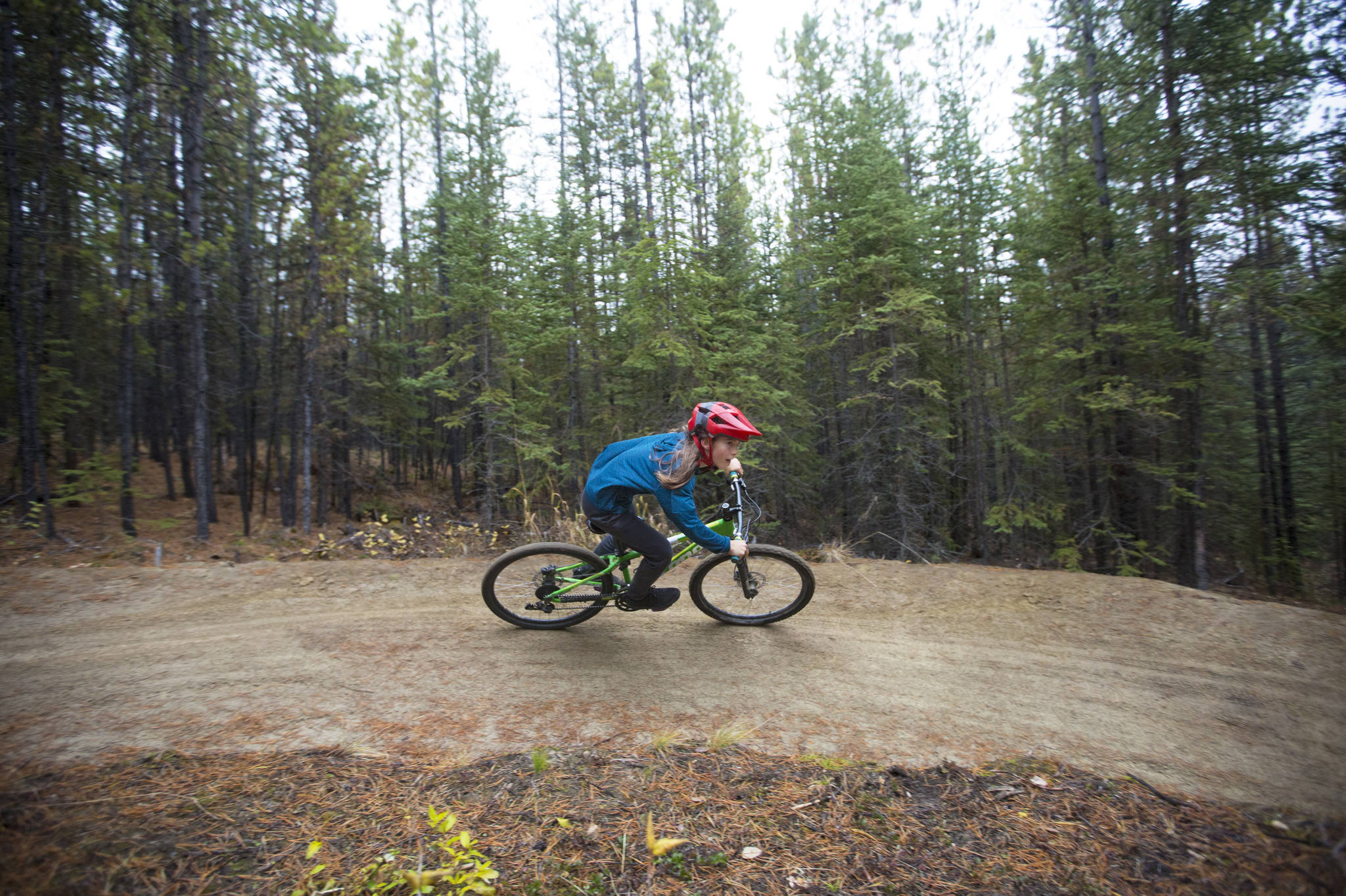 Cann best sale woods mtb