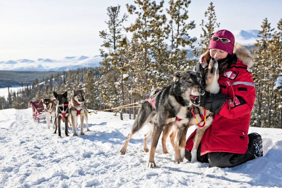 23467404_web1_201201-WCT-YukonDogsled-dogsled_1