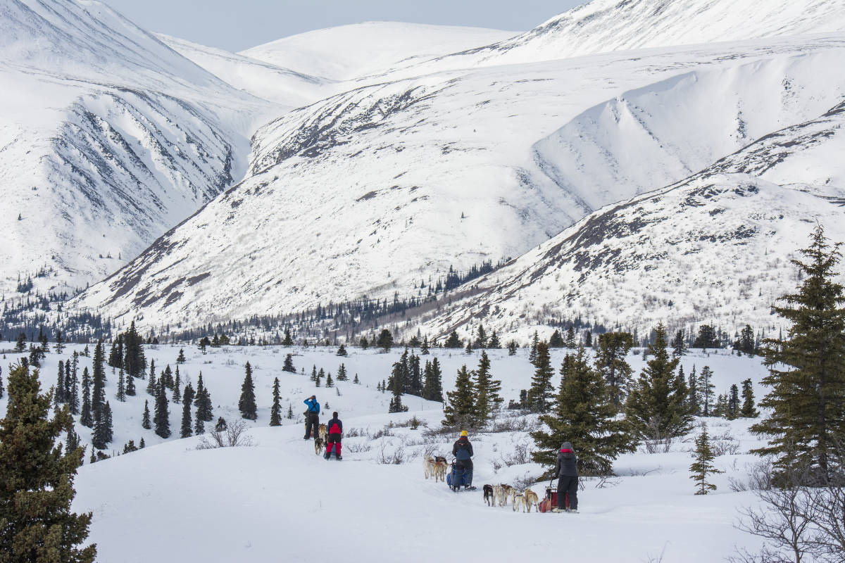 Alayuk Adventures is offering a Yukoners Special this winter  10 one-hour sessions for just $300! (Photo: JF Bergeron/Government of Yukon).