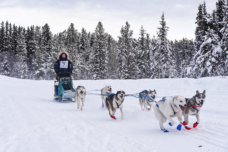 Melissa Schenke competes in the six-dog race at the Yukon Brewing Copper Haul League dog sled race on Jan. 30. The races was 10 miles long and Schenke finished in sixth place. (Gabrielle Plonka/Yukon News)