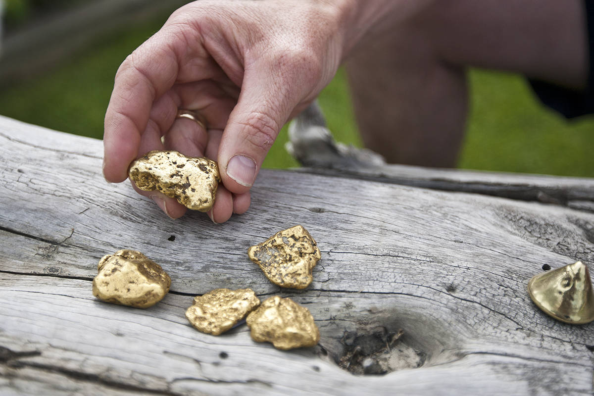 Pictured is gold from the Dawson City area, found while gold panning at Gold Bottom Tours. Photo courtesy Travel Yukon.