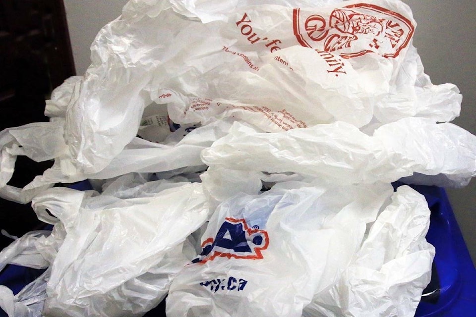 26704680_web1_201231-SUL-PlasticBagBan-bags_1