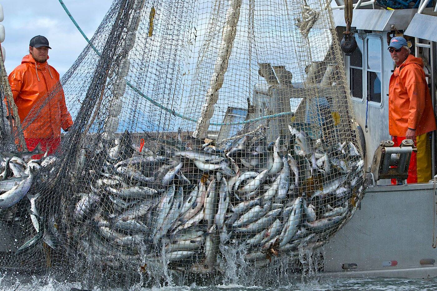 Alaskan commercial fishery 'plundering' threatened B.C. salmon - Yukon News