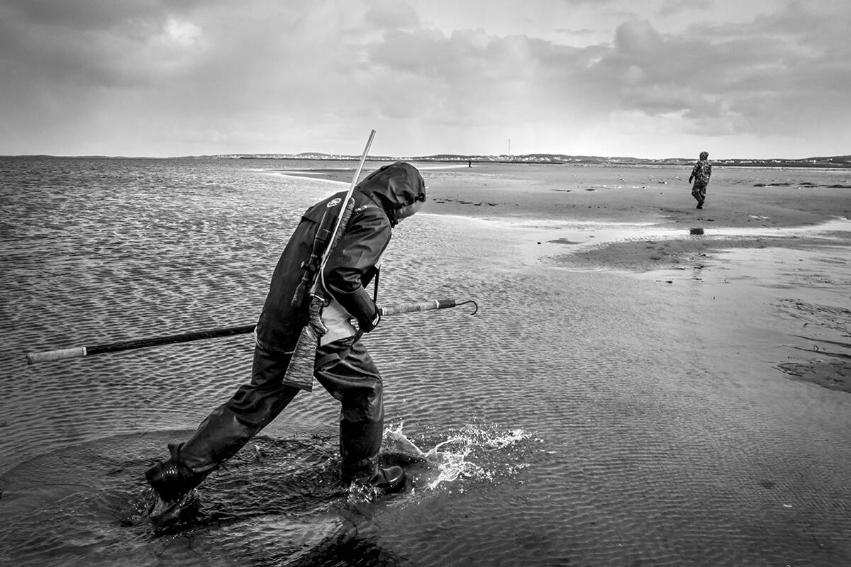 The group of camo-clothed hunters walked the beach on the Magdalen Islands, Quebec, one day this past November, positioning themselves along a stretch of shore where grey seals could be found. Photo courtesy of Yoanis Menge