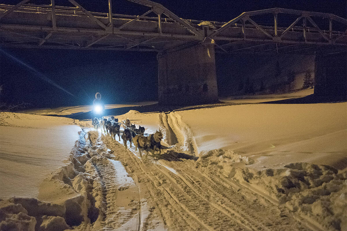 Brent Sass and his team were the first under the Takhini Bridge en route to the Yukon Quest 300 finish line. (Jim Elliot/Yukon News)