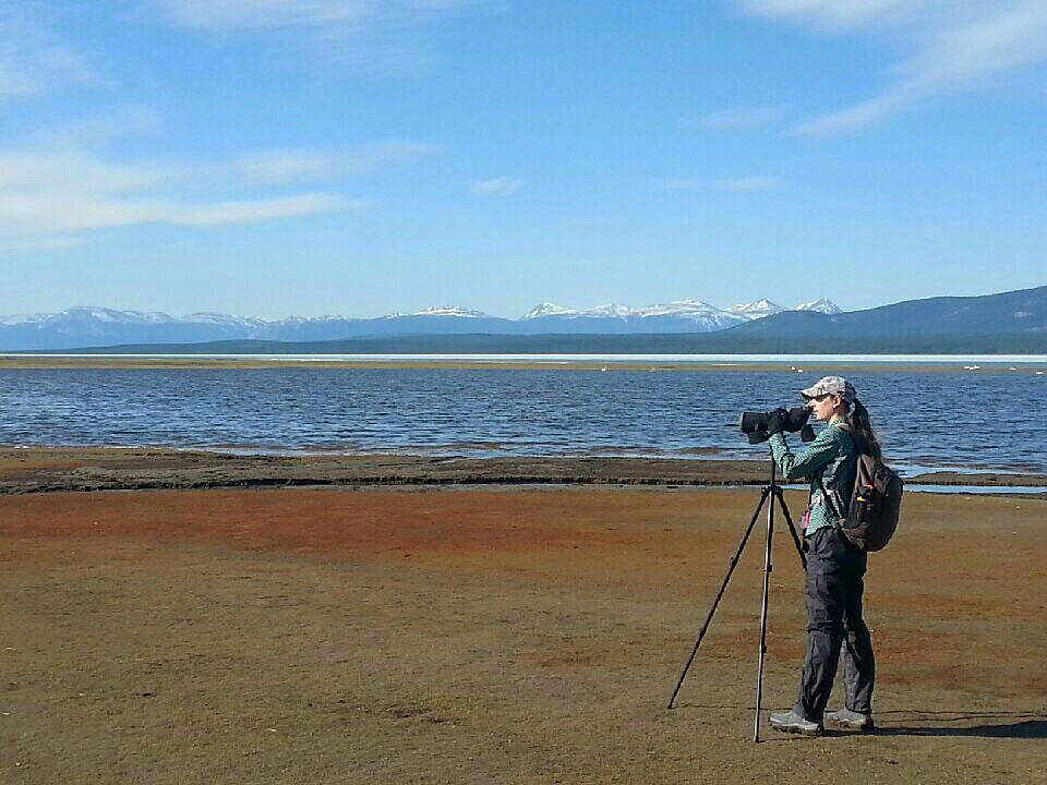 Lena Ware was the feature birder at this years Helmut Grünberg Yukon Birdathon hosted by the Yukon Bird Club. (Yukon Bird Club/Submitted)