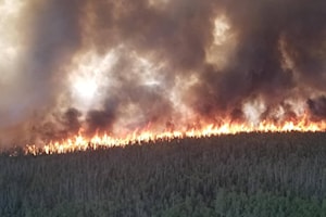 Free home brush disposal intended to spark wildfire resiliency in Whitehorse