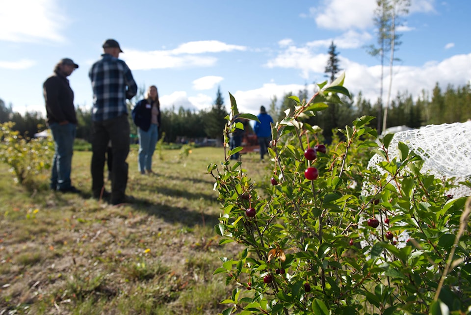 30247464_web1_220831_YKN_NEWS_Experimental_farm-800_3