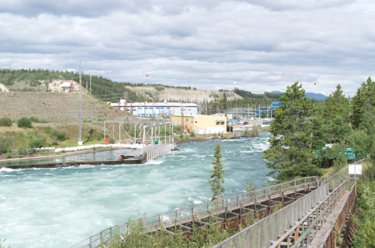 ‘A cry for help’ Yukon River chinook salmon take priority in high