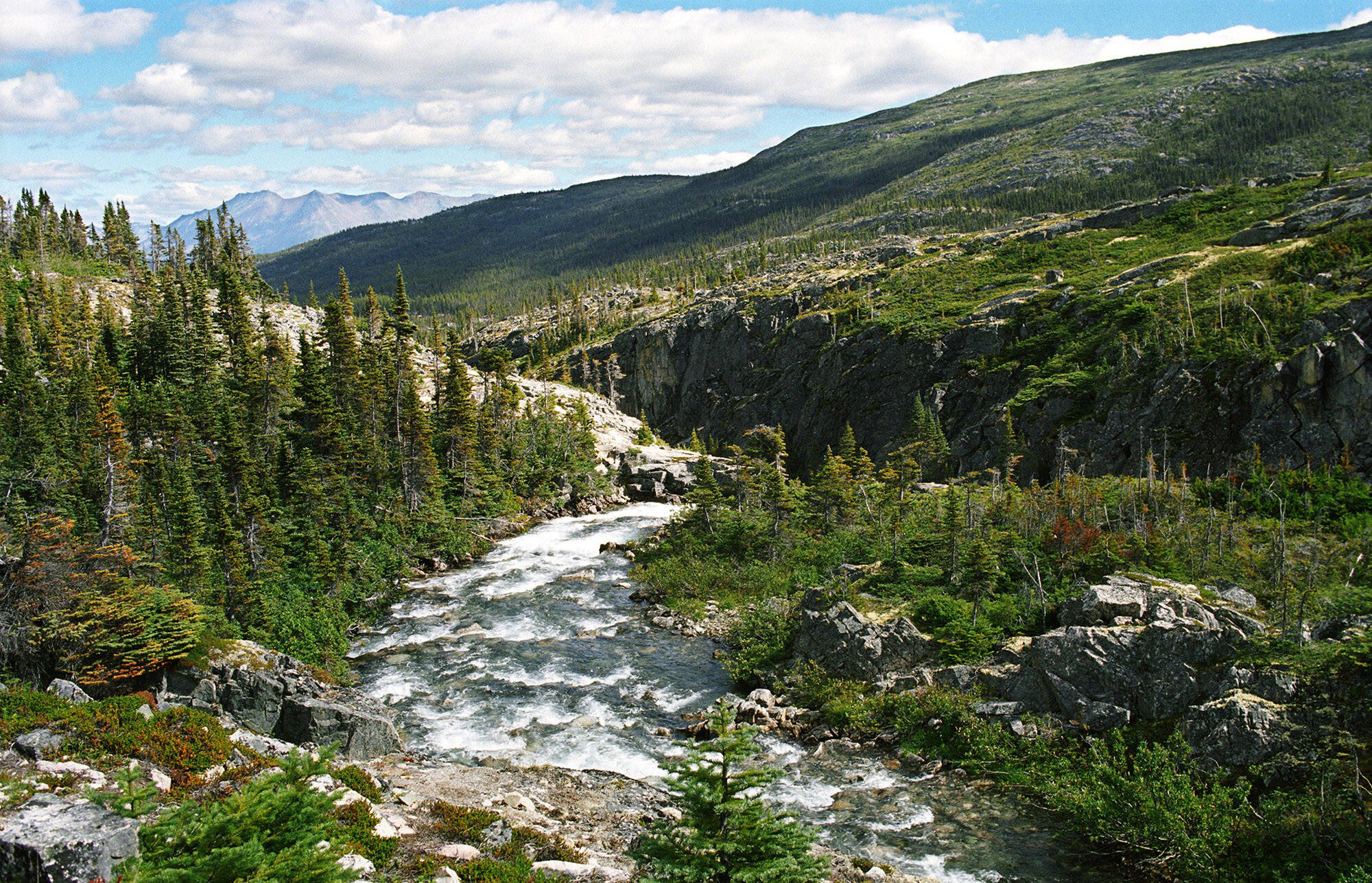Pre-pandemic, summer hikers to the Chilkoot Trail numbered around 3,000, compared with 266 hikers who visited the trail in 2022.