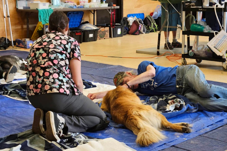 Pet owners were allowed to wait with their dogs in the recovery area at the Pelly Crossing pet clinic, held from June 1 to 3. (Courtesy/Darcy Marcotte)