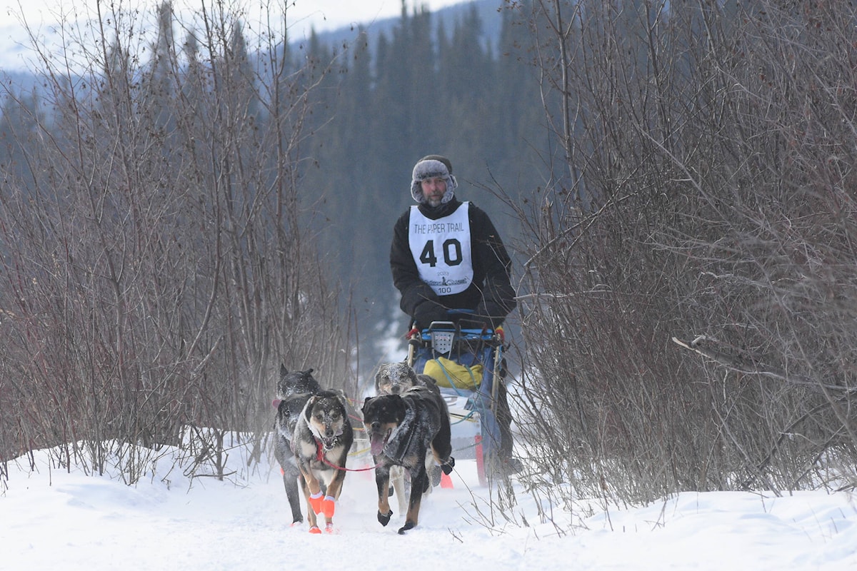 About 87,000 up for grabs for 2024 Yukon Quest Yukon News