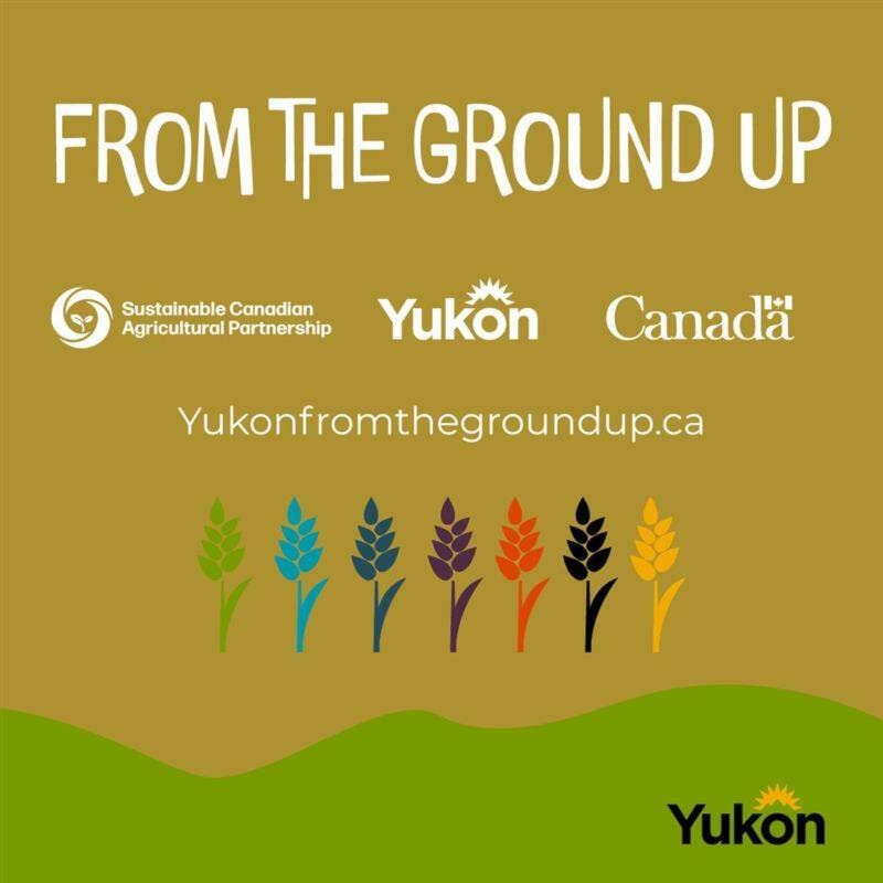 34013038_web1_230925_YKN_News_Ground-Up-fundraiser_700-wb_1