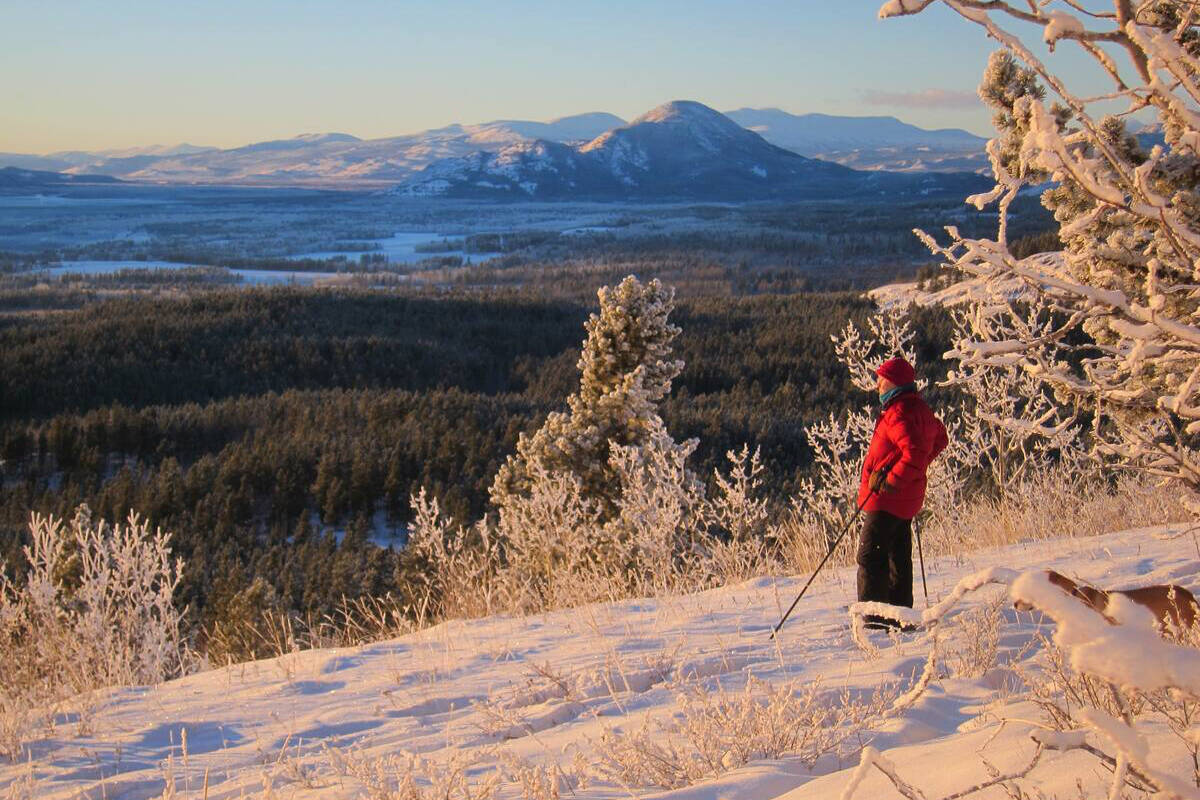 Fay Tangermann and Gunter Glaesers visitors can view the aurora borealis and take advantage of seven kilometres of ski trails in winter. (Courtesy/Airbnb)