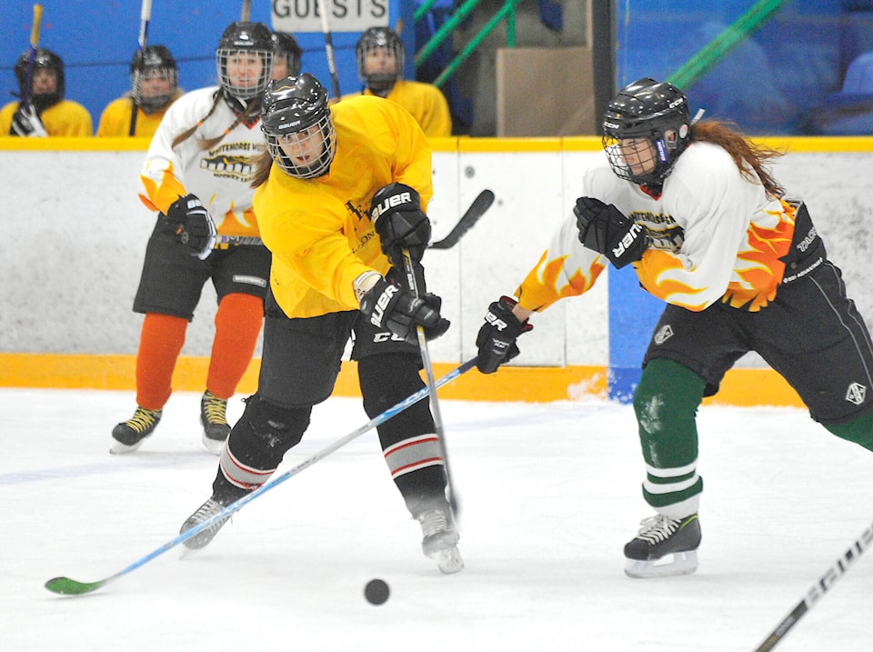 34385244_web1_161125_YKN_womenshky_RGB