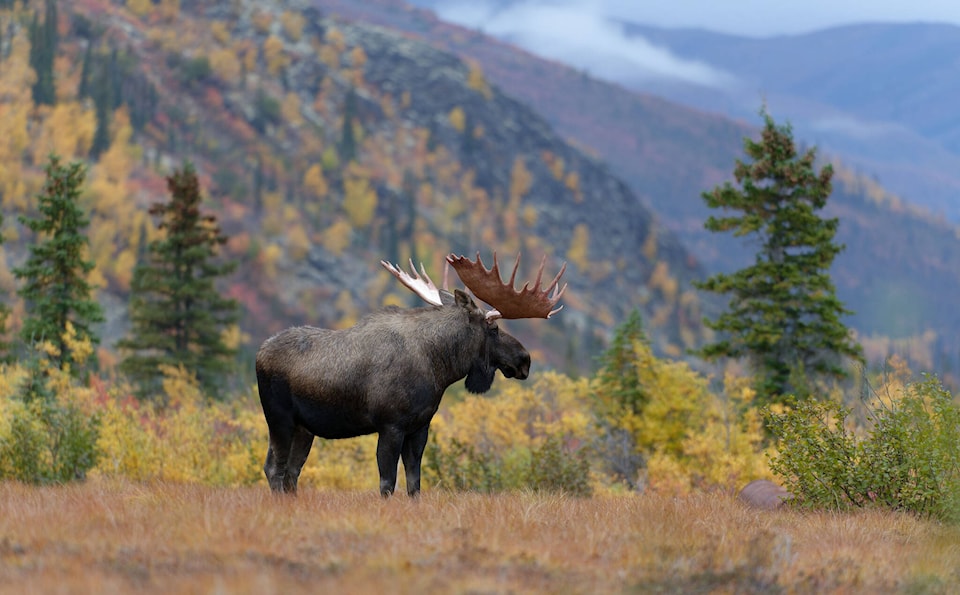 YG introduces changes to hunting and fishing regulations for 2025-2026 season